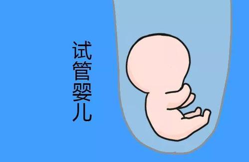 供卵代生机构